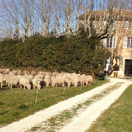 B&B Domaine Le Clos Du Pavillon Brignoles Exterior foto