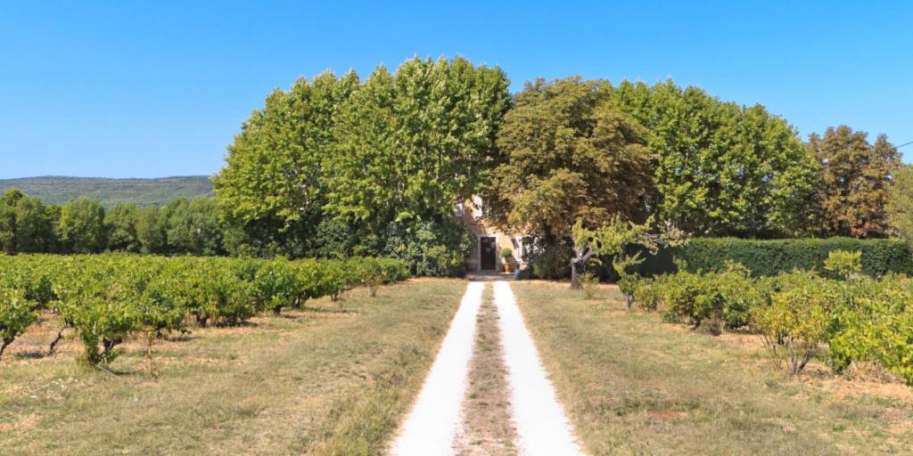 B&B Domaine Le Clos Du Pavillon Brignoles Exterior foto